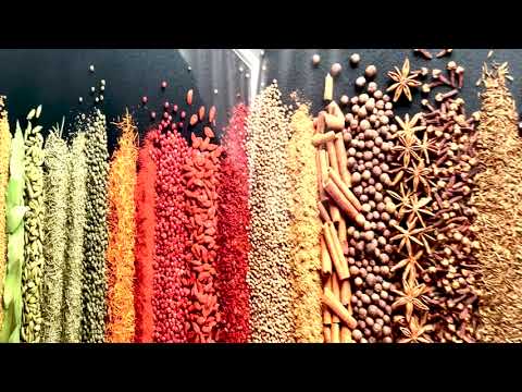 Colorful Spices & Legumes Glass Wall Art, glass art painting, glass art for the Wall