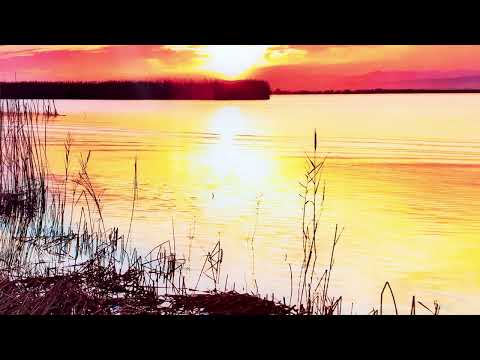 Sunset Over a Lake With Grass Glass Wall Art