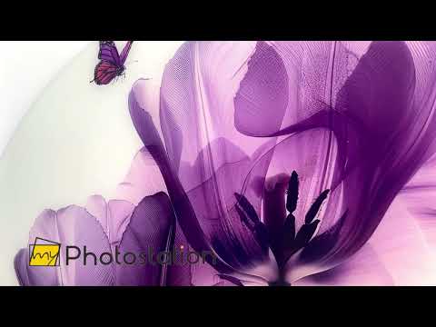 Albert Koetsier Purple Tulips Glass Wall Art