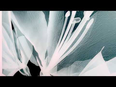 X-Ray Close Up Amaryllis Glass Wall Art,  glass art painting, glass art for the Wall