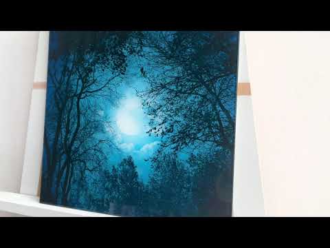 Mysterious Night Forest Glass Wall Art