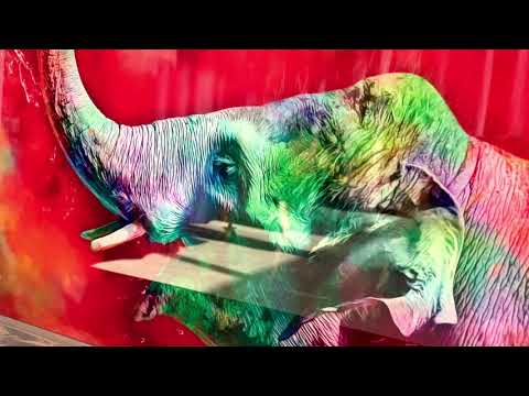 Colored Elephant Glass Wall Art