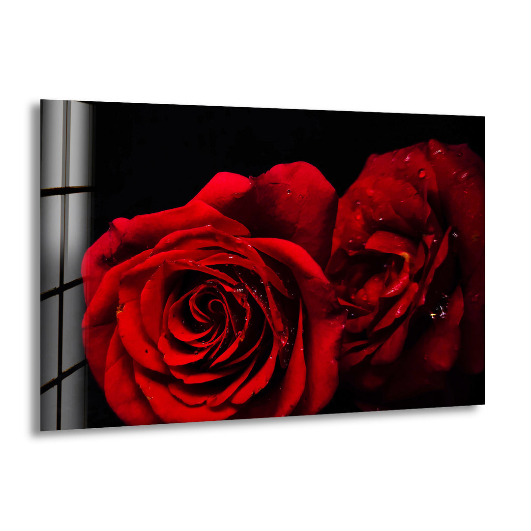 Red Rose Flower On Black Glass Wall Art, print picture on glass, Tempered Glass Wall Art
