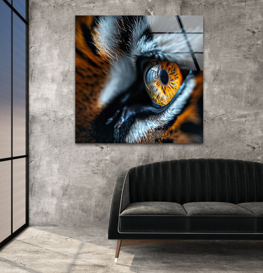 Single Tiger Eye Glass Wall Art glass photo prints, glass picture prints
