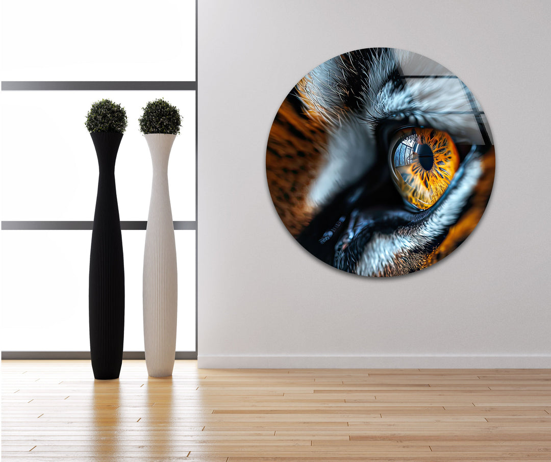 Single Tiger Eye Glass Wall Art print on glass, glass printed photos
