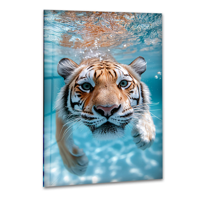 Tiger Swimming Underwater In the Pool Glass Wall Art glass art painting, glass art for the Wall
