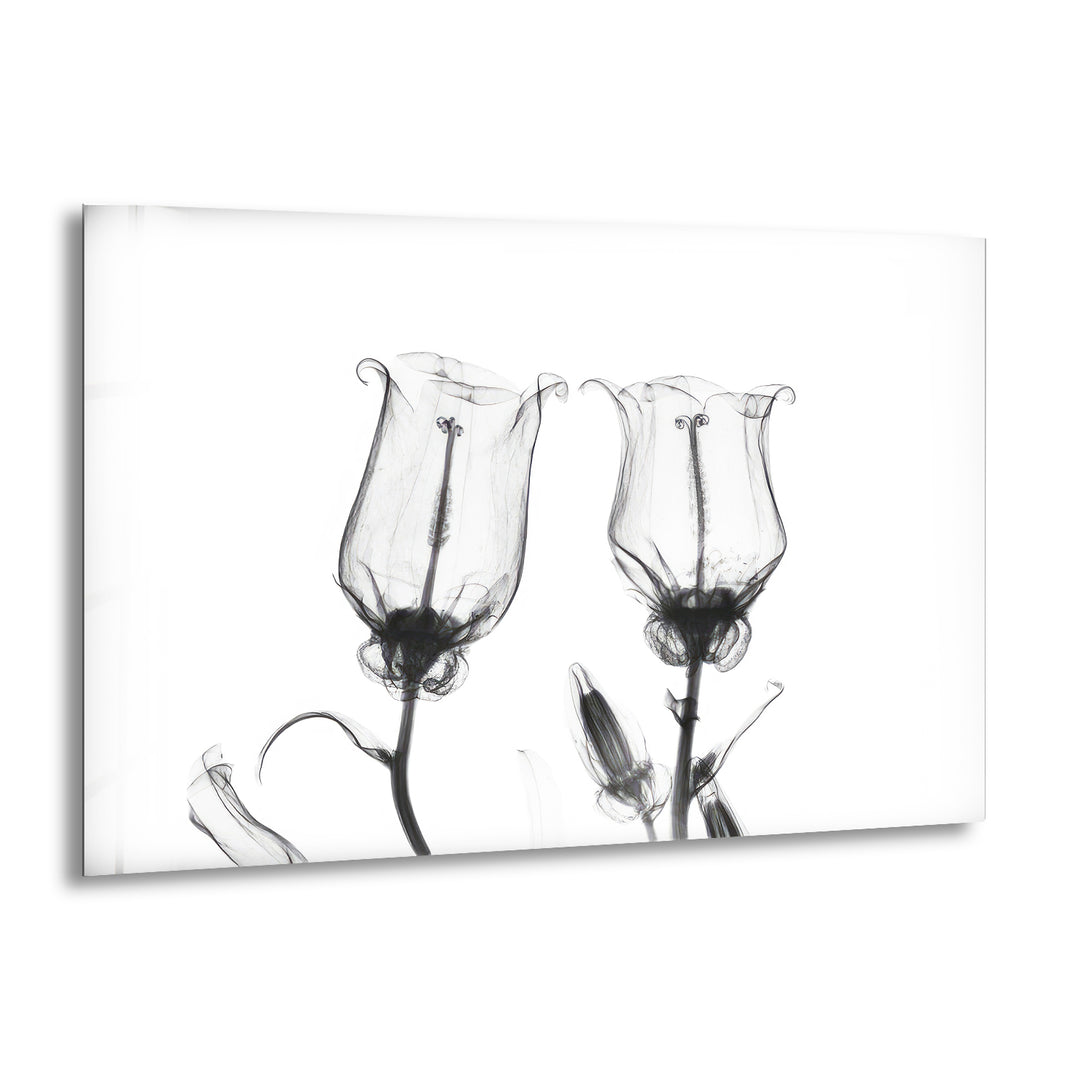 Albert Koetsier Canterbury Bells Glass Wall Art, print picture on glass, Tempered Glass Wall Art