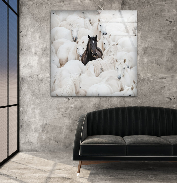 White Horses with One Black Horse Glass Wall Art glass art painting, glass art for the Wall
