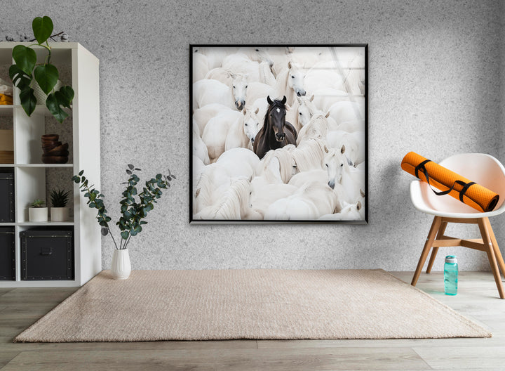 White Horses with One Black Horse Glass Wall Art art glass wall art, glass wall art pictures
