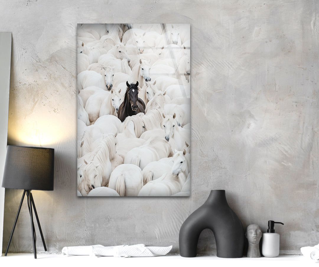 White Horses with One Black Horse Glass Wall Art photo print on glass, prints on glass wall art
