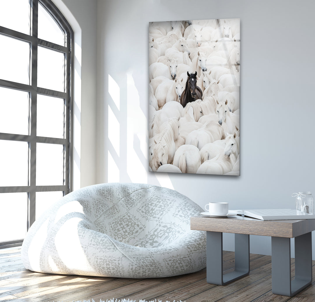 White Horses with One Black Horse Glass Wall Art glass pictures for Wall, glass prints wall art
