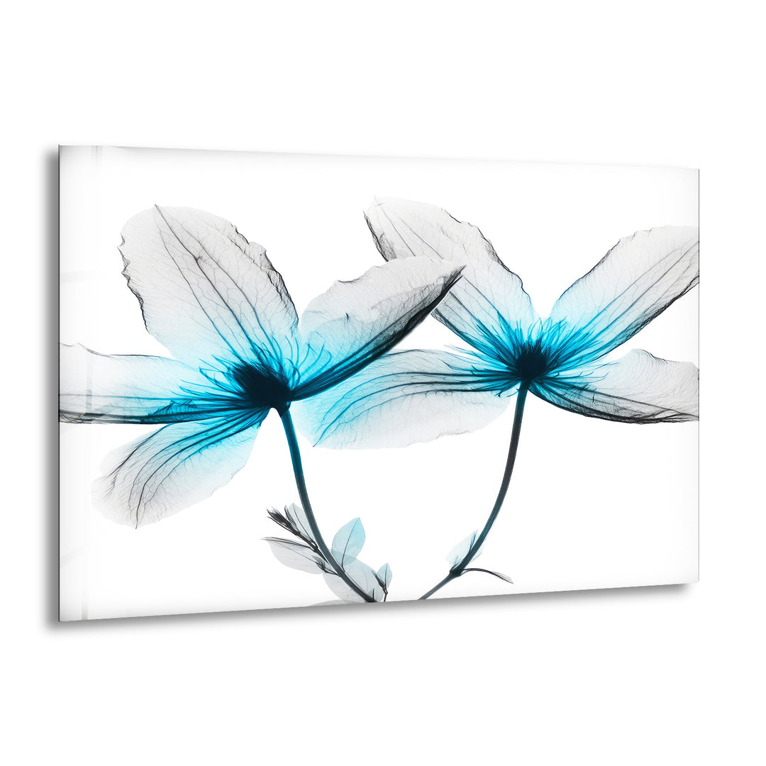 Albert Koetsier Blue X-Ray Flower Glass Wall Art, print picture on glass, Tempered Glass Wall Art