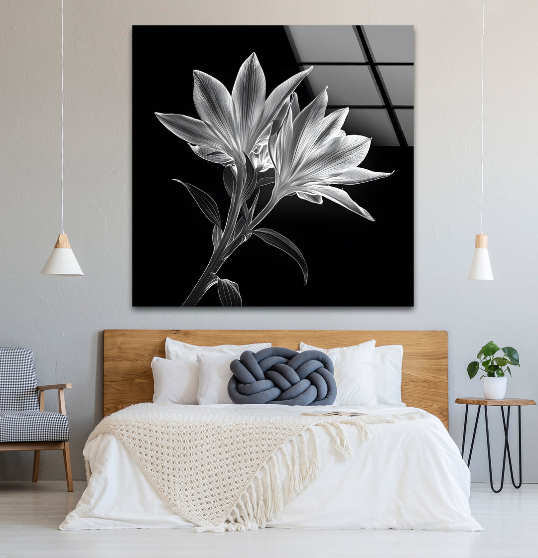 Timeless black and white paintings of x-ray lilies, perfect for adding a touch of elegance to any room.