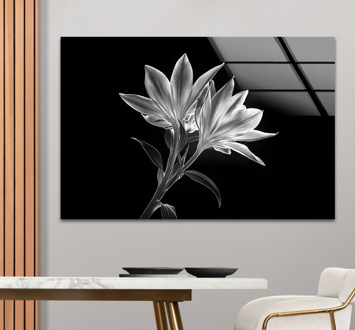 Modern black and white wall decor highlighting the graceful transparency of x-ray lilies.