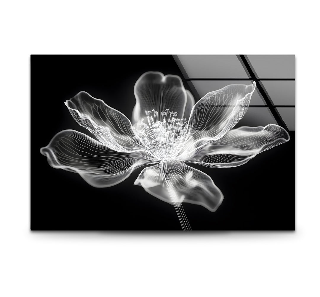 Black and white art featuring a minimalist flower design with elegant lines
