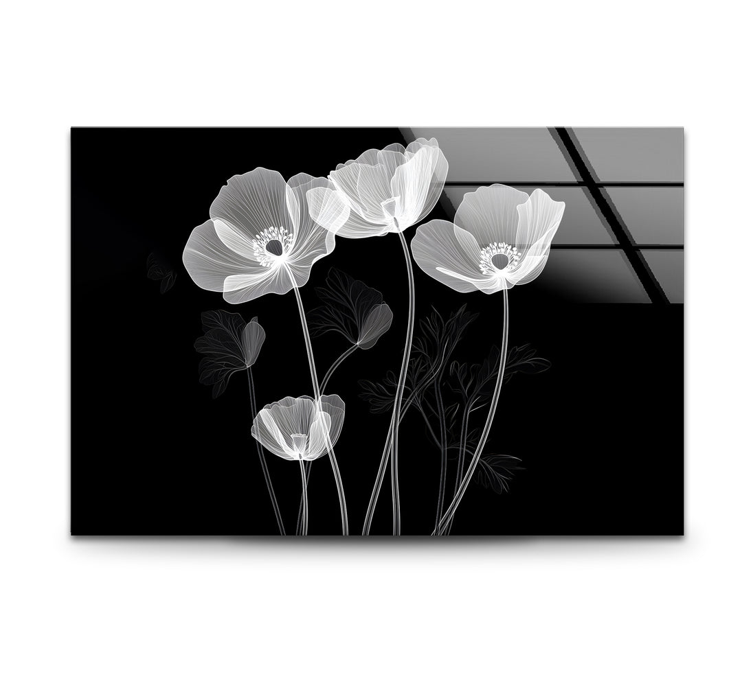 X-ray poppies in black and white art, perfect for modern black and white wall decor.