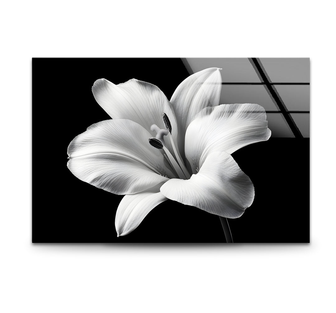 Black and white art featuring an elegant lily flower in intricate detail
