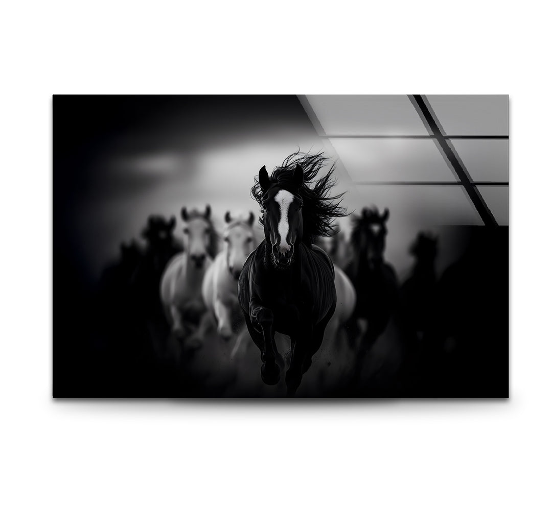 Dynamic black and white wall art featuring a group of running horses in dramatic motion.