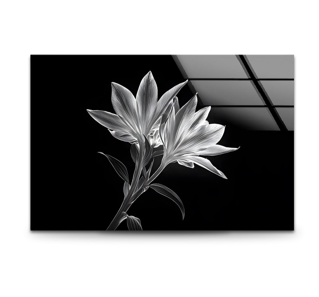 Elegant black and white wall art featuring delicate x-ray lilies in a minimalist style.