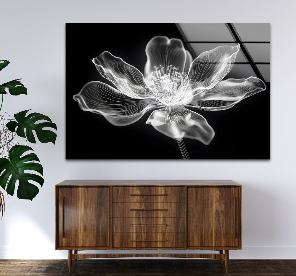 Stylish black and white wall art showcasing a simple yet striking flower in a modern composition
