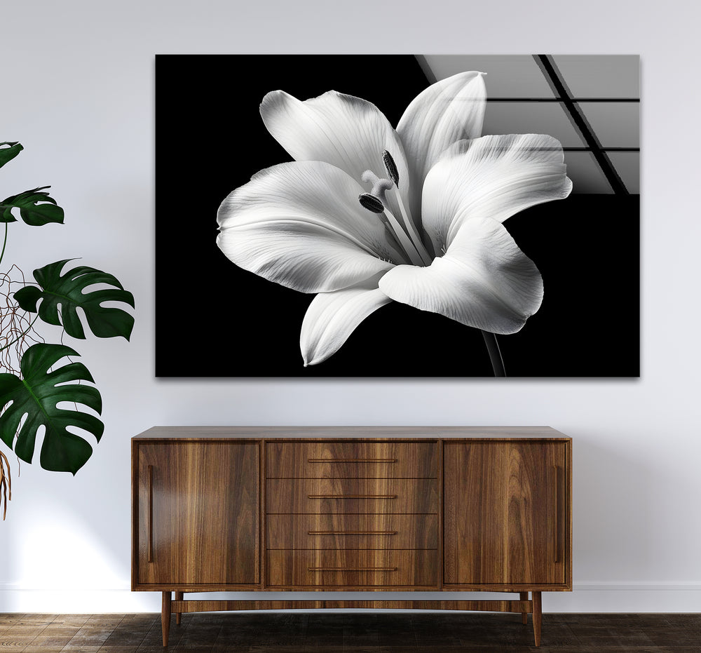 Stylish black and white wall art showcasing a single lily flower in a dramatic and minimalist design
