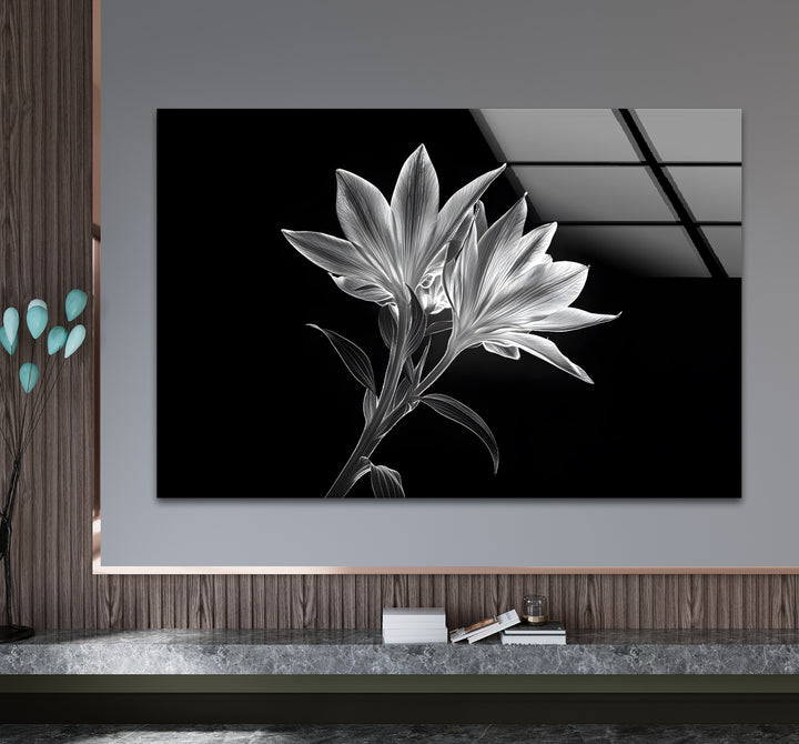 Captivating black and white abstract art highlighting the translucent elegance of x-ray lilies.