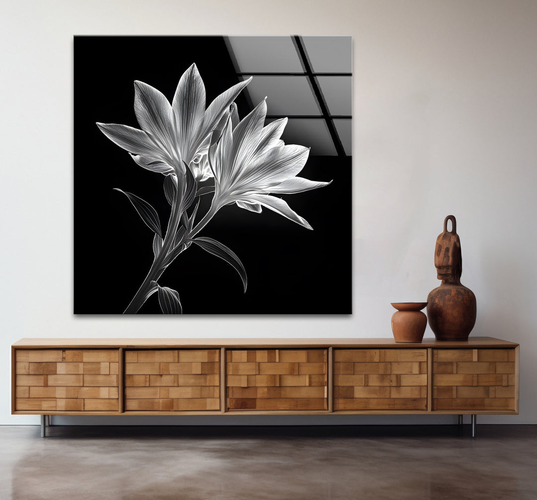 Modern black and white paintings blending x-ray lilies with a sophisticated artistic flair.