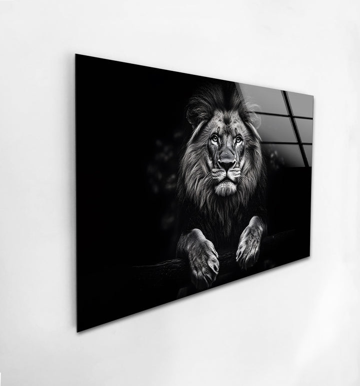 Striking black-and-white lion artwork on glass, perfect for animal lovers and bold décor.
