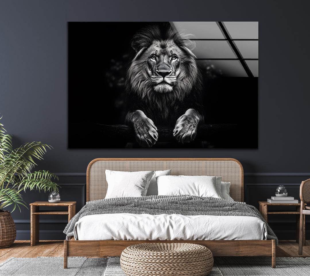 A fierce lion in detailed black-and-white, printed on glass for an impressive statement piece.
