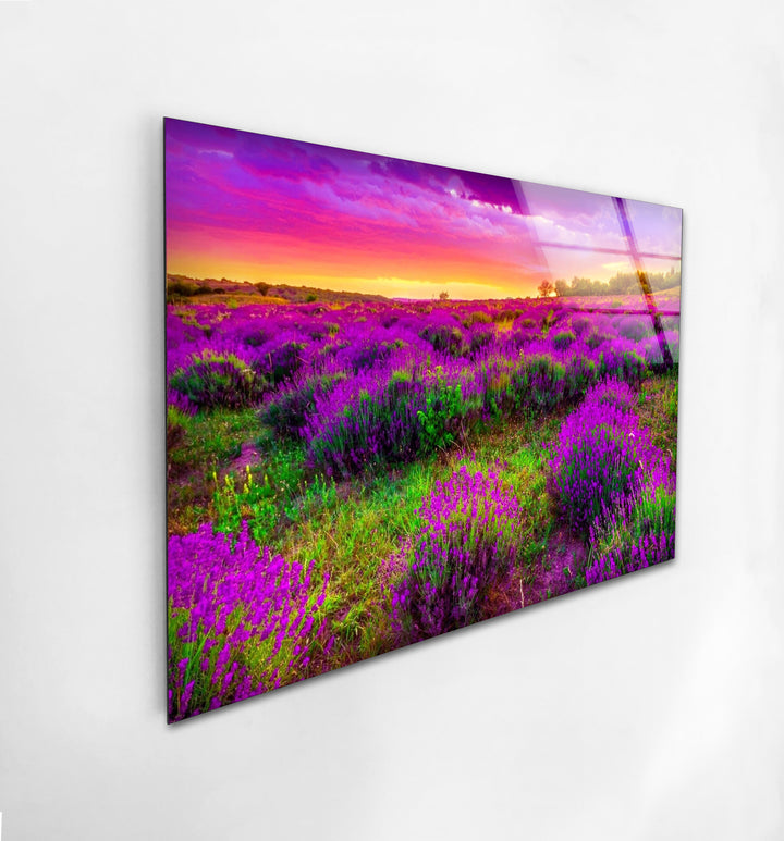 Lavender Field Glass Wall Art – Vibrant Sunset Floral Landscape