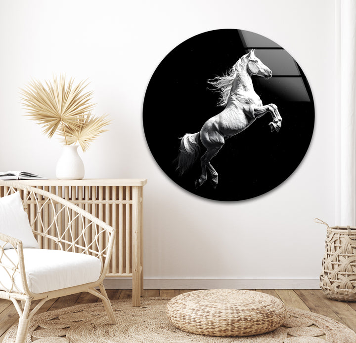 A dynamic white horse frozen in motion, highlighted in stunning black and white glass wall art.