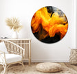 Elegant Glass Photo Prints for Decor