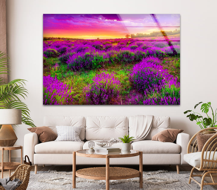 Lavender Field Glass Wall Art – Vibrant Sunset Floral Landscape