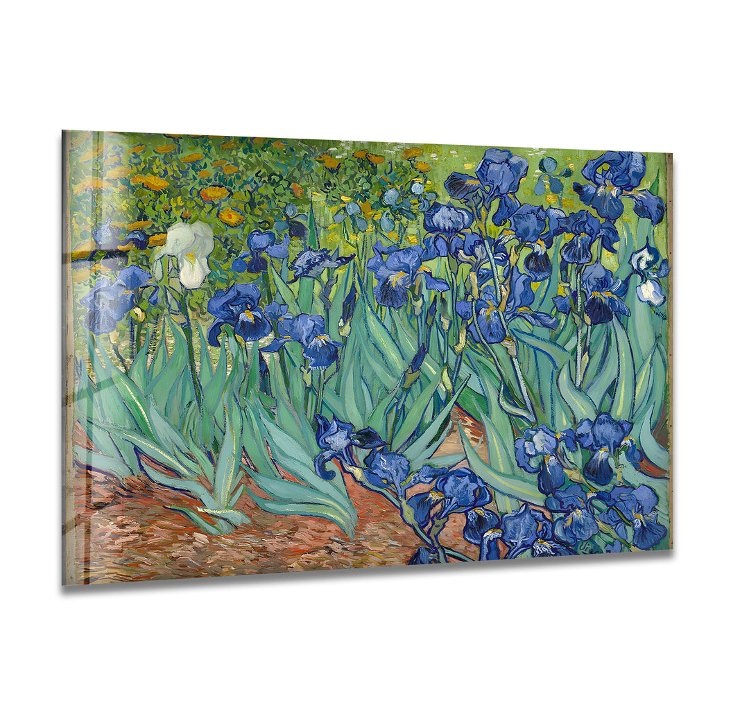 Irises Vincent Van Gogh Glass Wall Art glass art painting, glass art for the Wall
