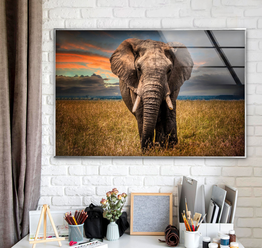 Majestic Elephant Glass Wall Art glass photo prints, glass picture prints