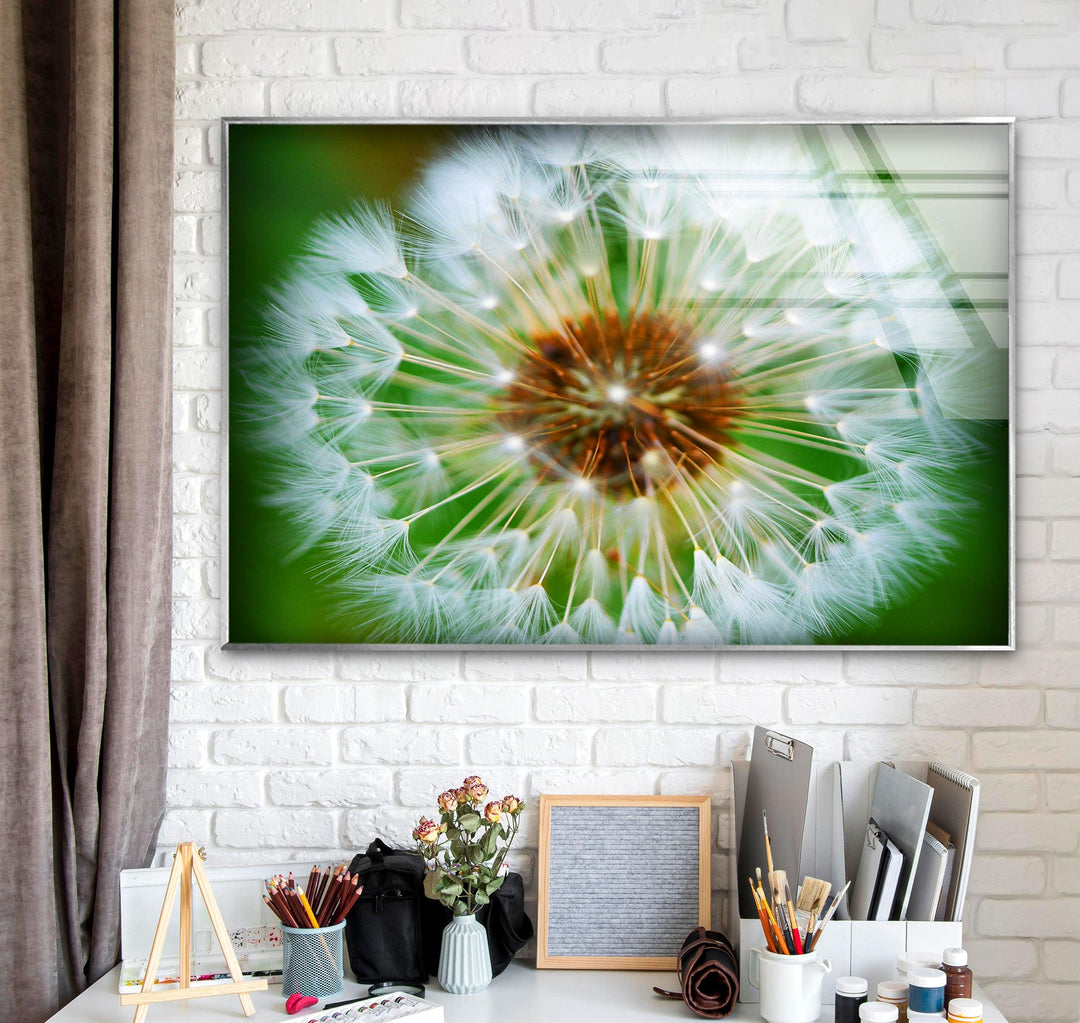 Single Dandelion Flower Glass Wall Art, photo print on glass, prints on glass wall art
