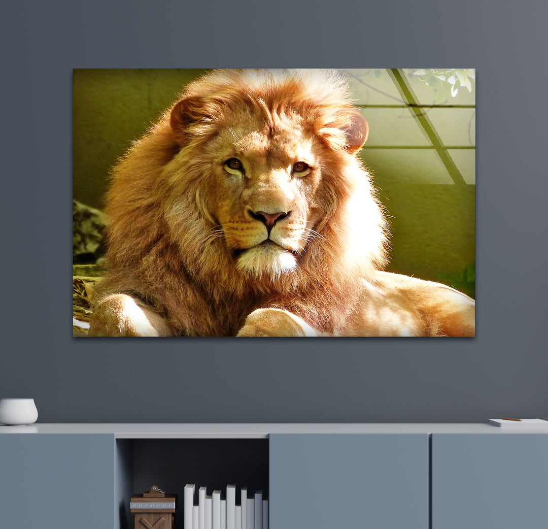 Wild Lion Portrait Glass Wall Art glass image printing, glass prints from photos