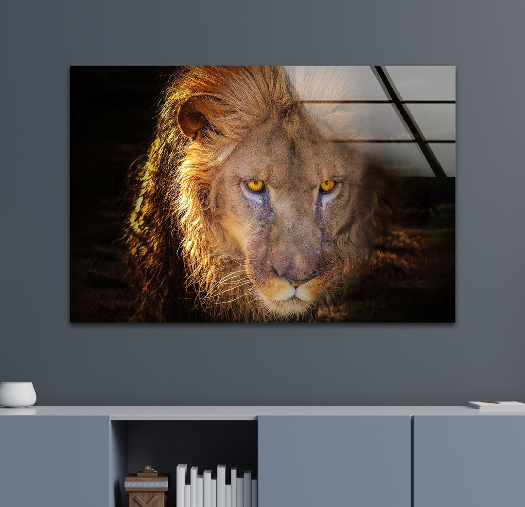 Angry Lion Glass Wall Art print picture on glass, Tempered Glass Wall Art