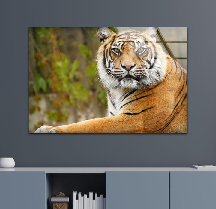 Tiger View Glass Wall Art custom glass pictures, glass art prints