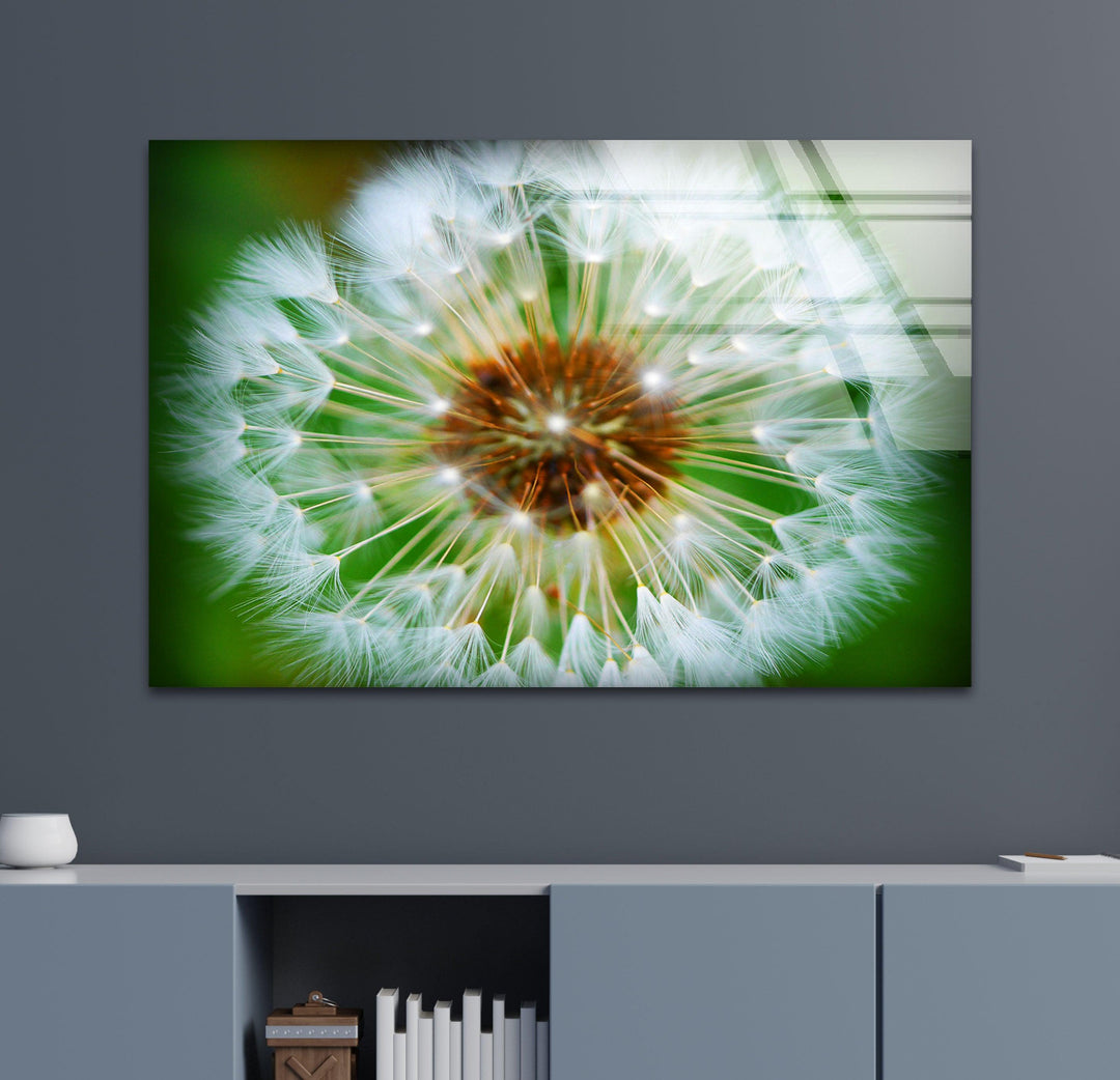 Single Dandelion Flower Glass Wall Art, custom glass pictures, glass art prints
