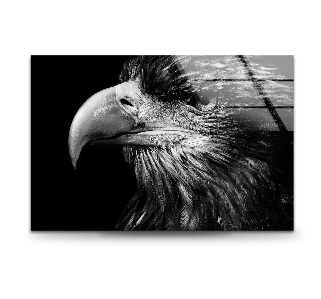 Eagle Portrait Glass Wall Art print picture on glass, Tempered Glass Wall Art