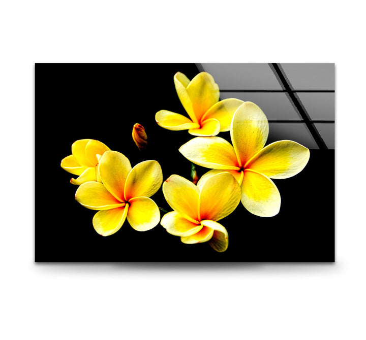 Yellow Plumeria Glass Wall Art, art glass wall art, glass wall art pictures