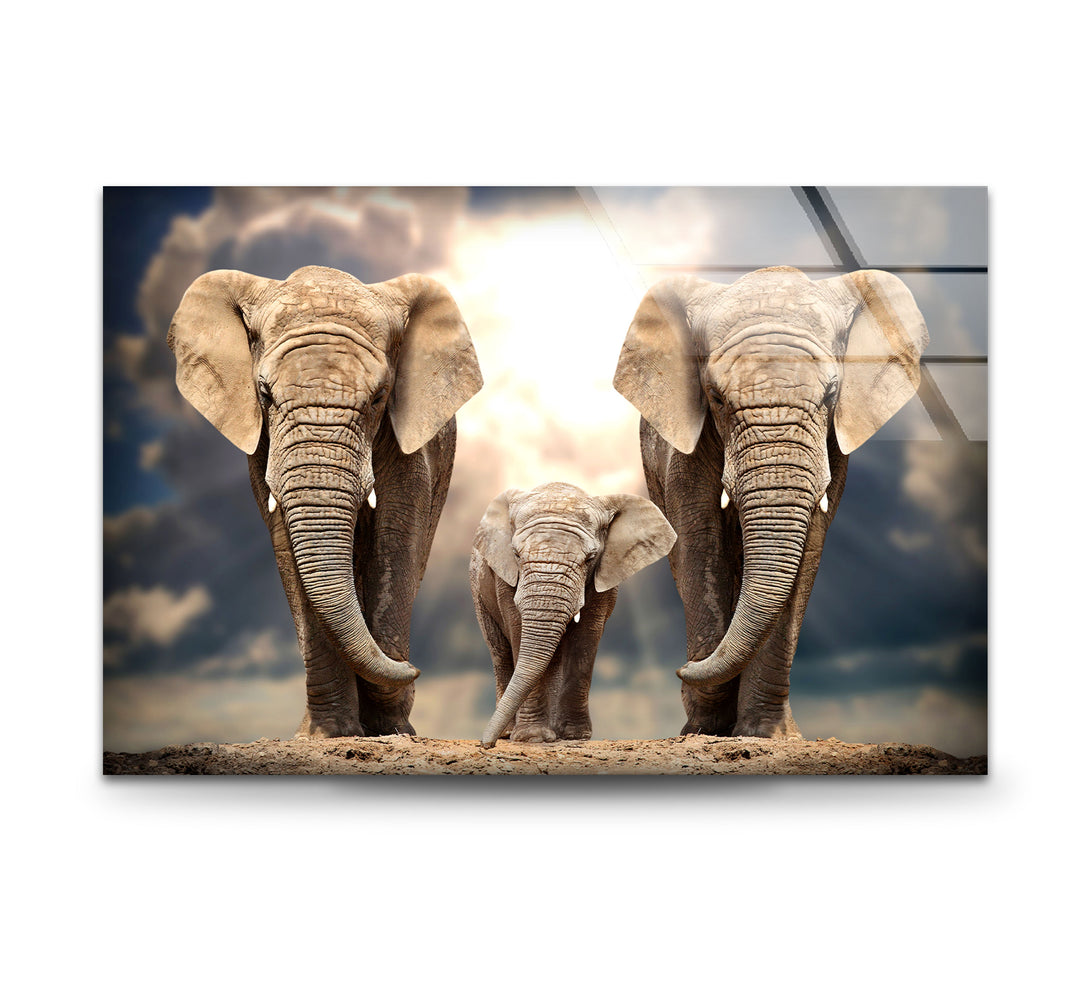 Safari Elephant Family Glass Wall Art glass image printing, glass prints from photos