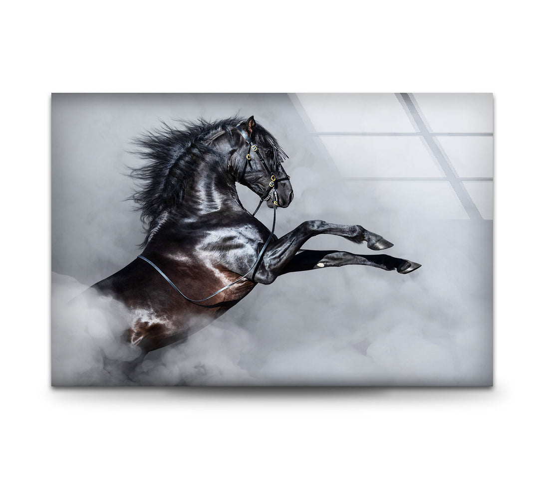 Imposing Horse Glass Wall Art custom glass pictures, glass art prints