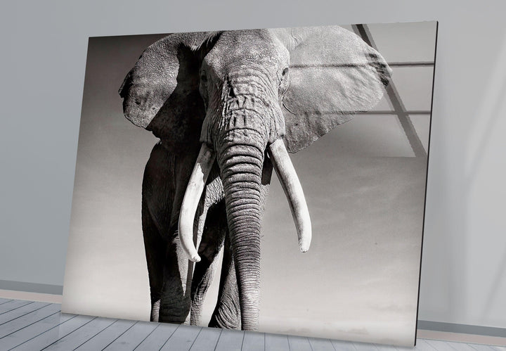 Black White Elephant Glass Wall Art art glass wall art, glass wall art pictures