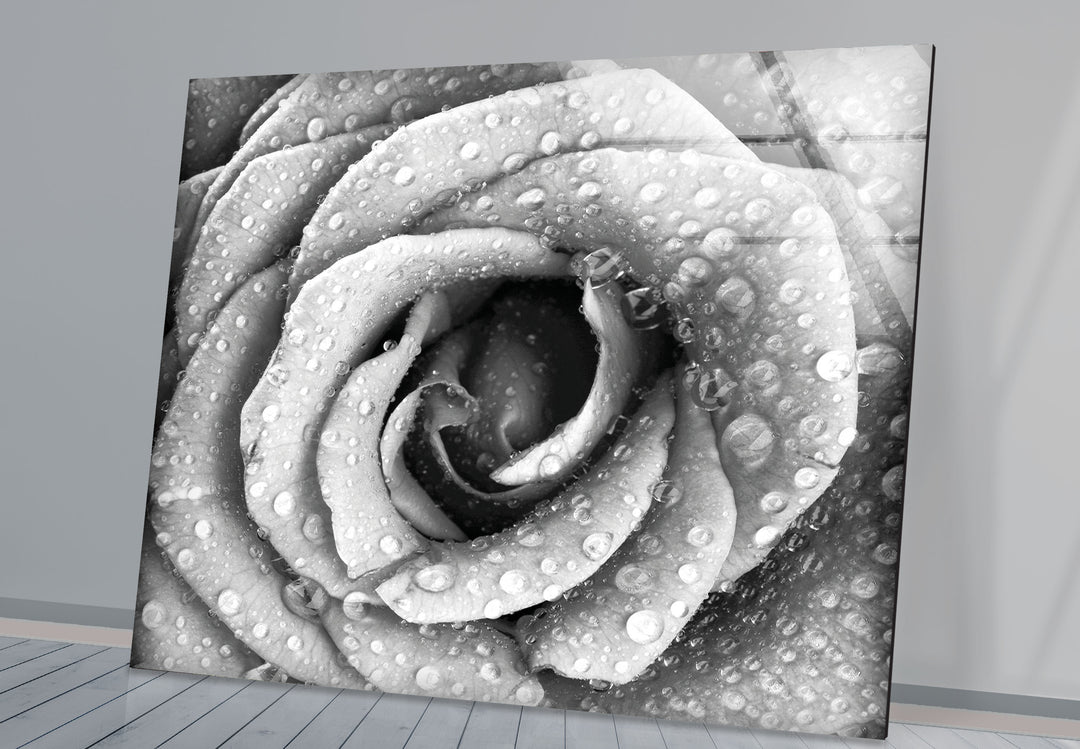 Black and White Rose Glass Wall Art, glass photo prints, glass picture prints