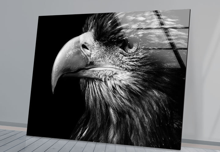 Eagle Portrait Glass Wall Art custom glass pictures, glass art prints