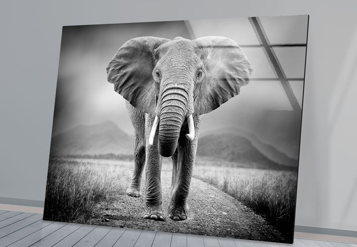 Large Elephant Glass Wall Art custom glass photo prints, large glass prints