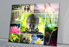 Buddha & Zen Spa Stones Picture on Glass Collections