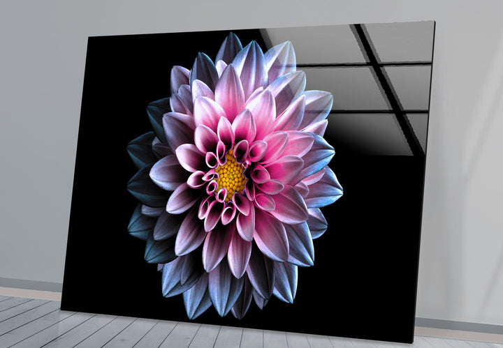 Purple Flower On Black Glass Wall Art, photo print on glass, prints on glass wall art
